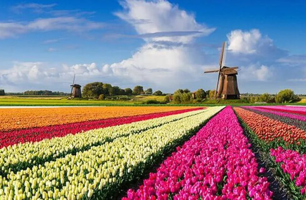 Holanda cambiará su nombre en 2020.