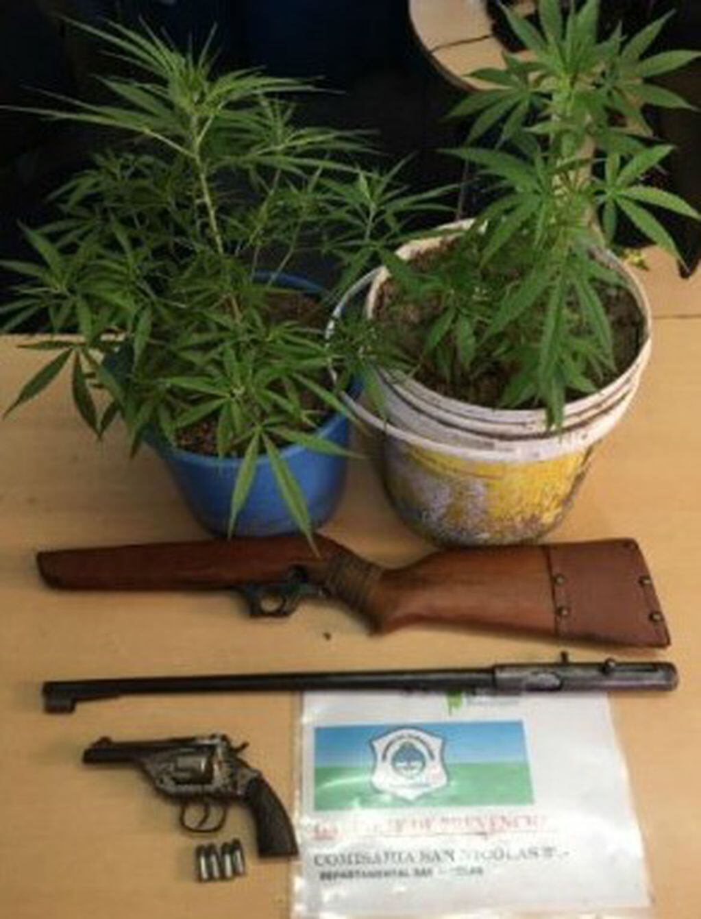 Armas y plantas de cannabis, entre los elementos secuestrados. (El Informante)