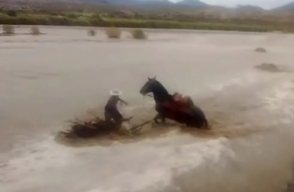 Gaucho arrastrado por el río Amaicha.