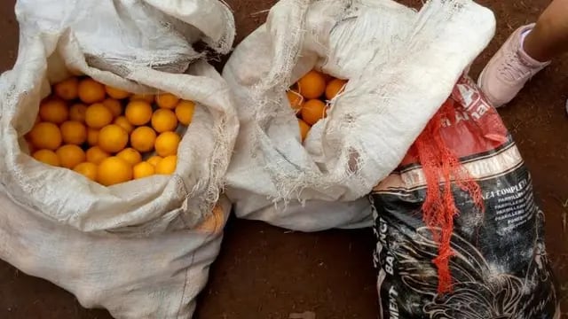 Donaron naranjas a un comedor de Eldorado recuperadas en un operativo en Mado