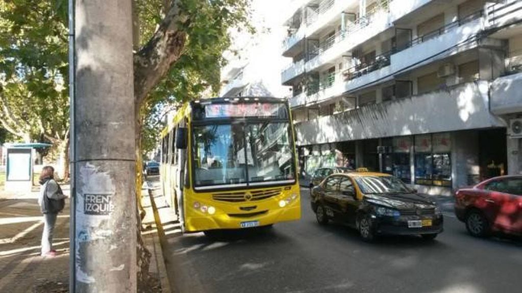 El socialismo ratifica el nuevo pliego de transporte y anuncia que llegan nuevas unidades