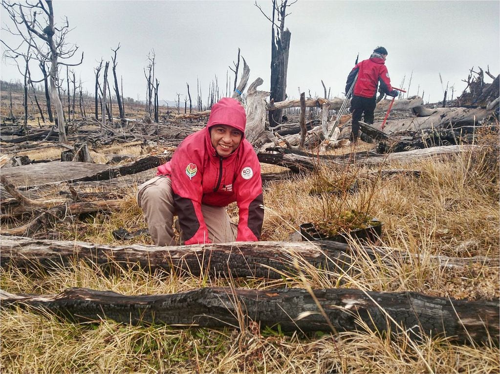 Iniciaron la restauración de bosques afectados por incendios forestales