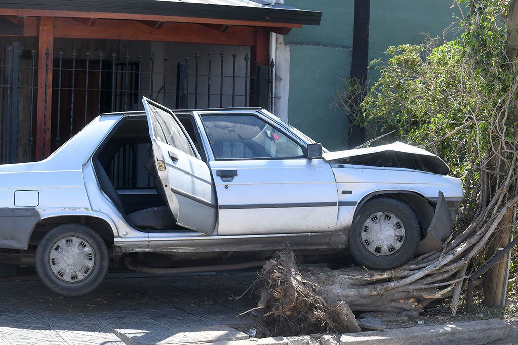 Ladrones robaron un auto con una mujer adentro y lo estrellaron contra un árbol. (Ramiro Pereyra / La Voz)