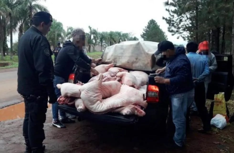 Carne de cerdo decomisada en Oberá