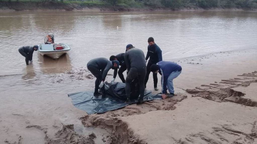 Lograron sacar del agua el cuerpo del conductor del camión que cayó al Bermejo