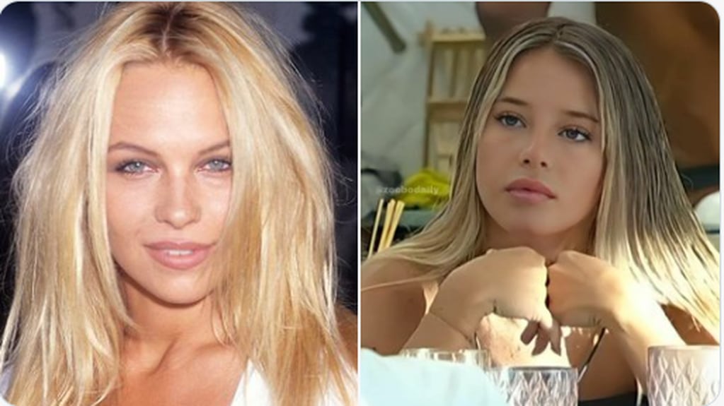 Las similitudes Las similitudes entre Zoe de Gran Hermano 2024 con Pamela Anderson
