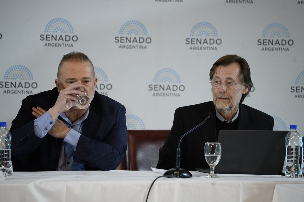 El abogado constitucionalista Andrés Gil Domínguez (izquierda) criticó la delegación de facultades (Foto: Federico López Claro)