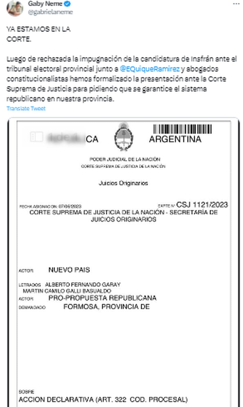 La concejala Gabriela Neme también presentó una impugnación contra la candidatura de Gildo Insfrán.