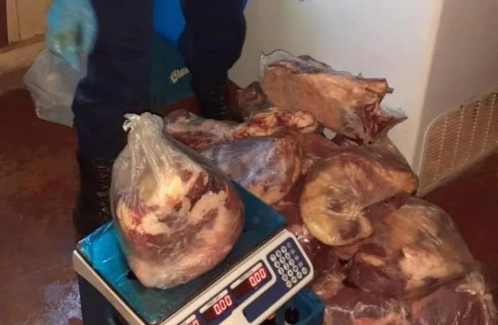 San Vicente: detuvieron a cuatreros con 200 kilos de carne vacuna faenada