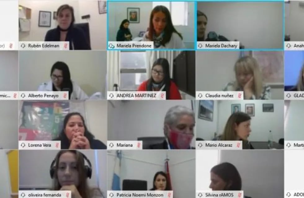 Sesión del Parlamento de la Mujer en Posadas, realizado en forma virtual.