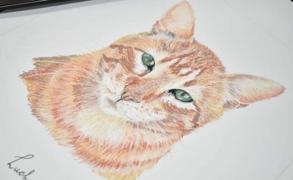 Al principio, Alinna no se sentía cómoda dibujando gatos, pero ahora disfruta llevar al papel cada felino.