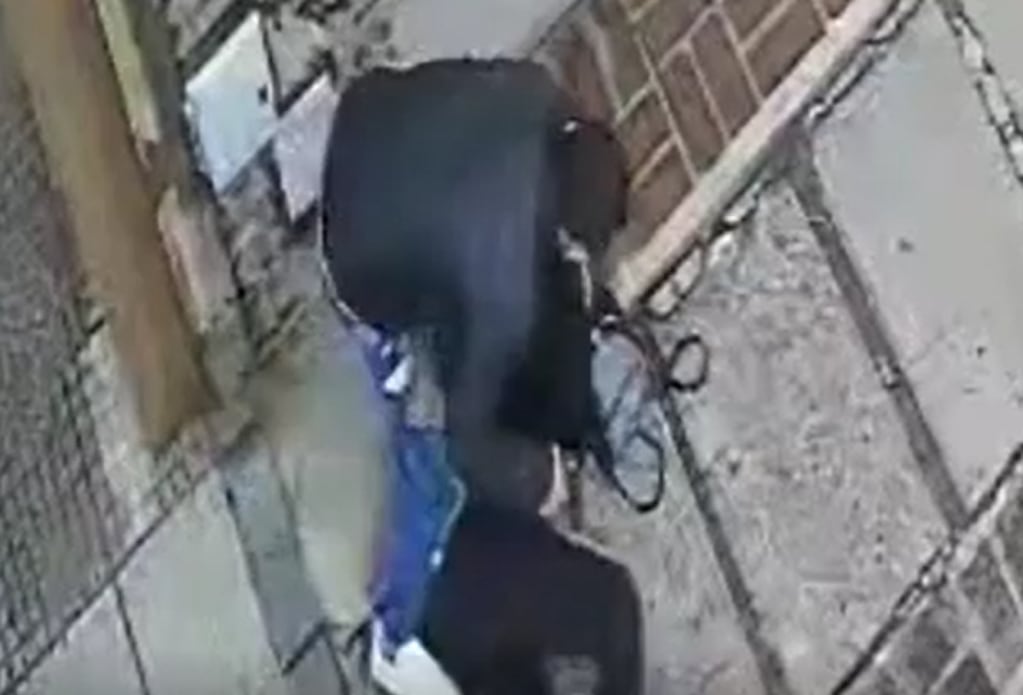 El momento del forcejeo entre el ladrón y su víctima. Captura de video.