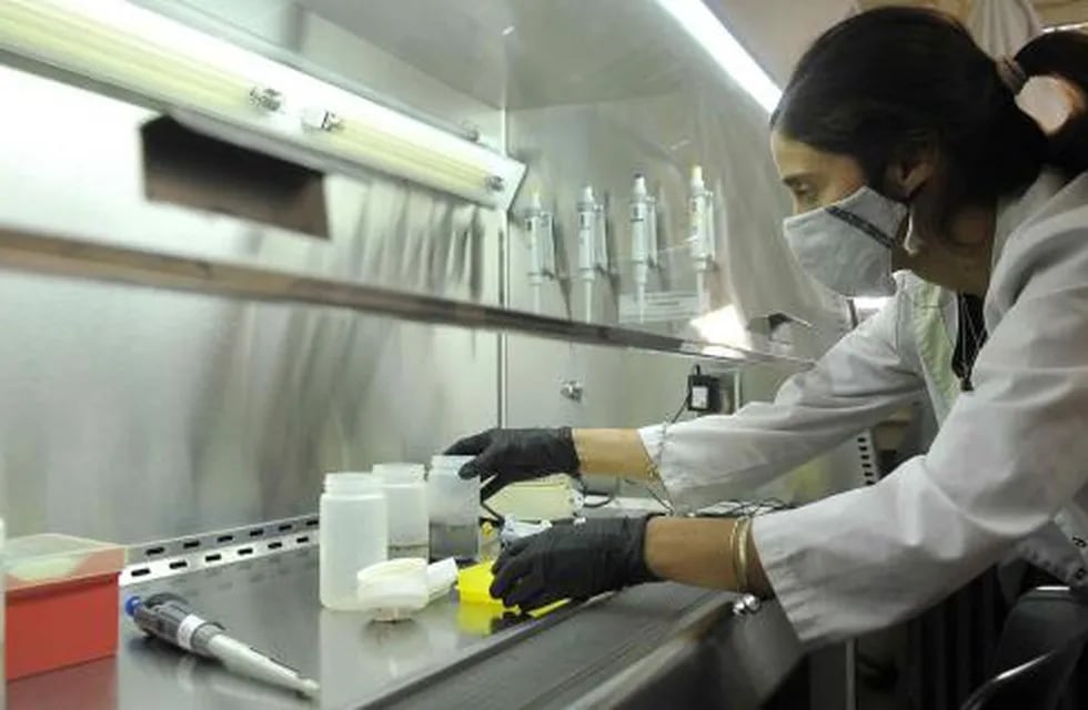 Centinela. La detección del coronavirus en aguas residuales funciona como un monitoreo centinela de posibles brotes, antes de que se detecten en lo testeos de personas.