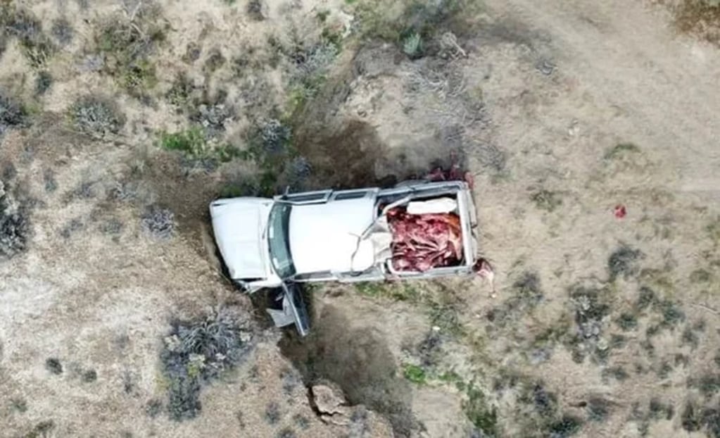 Un carnicero de Caleta Olivia y volvó y descubrieron que llevaba carne de guanaco y caballo en la caja de la camioneta.