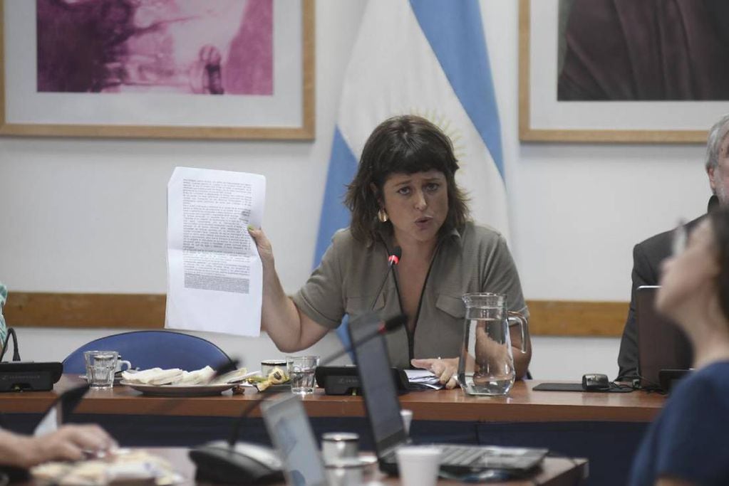 La presidenta de la Comisión de Juicio Político, Carolina Gaillard. Foto: Federico López Claro.