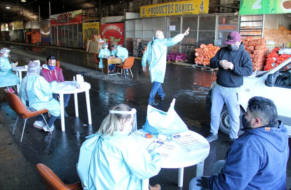 Un puestero del mercado frutihortícola San Miguel, ubicado en la localidad de Malagueño, dio positivo al test de Covid-19 junto a su chofer y por esa razón el COE determinó realizar hisopados a todas las personas que trabajan en el lugar.
coronavirus testeo testeos 
santiago berioli