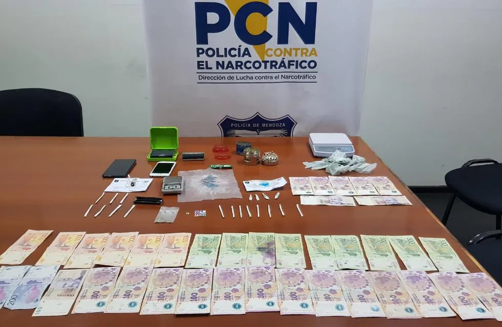 En tres allanamientos detuvieron a la misma cantidad de personas y descubrieron dos viveros de cannabis, además de un depósito con todo tipo de drogas. Foto: Prensa Ministerio de Seguridad de Mendoza.