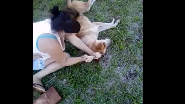 Maltrato animal: dos menores le sacaron los ojos a un perro