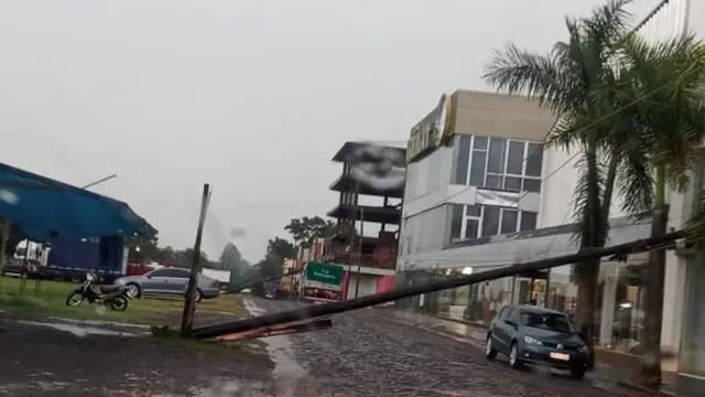 Fuerte tormenta causó caídas de árboles y postes de luz en Oberá