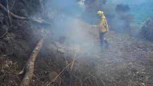 El 80 por ciento de los incendios rurales en Corrientes fueron extinguidos