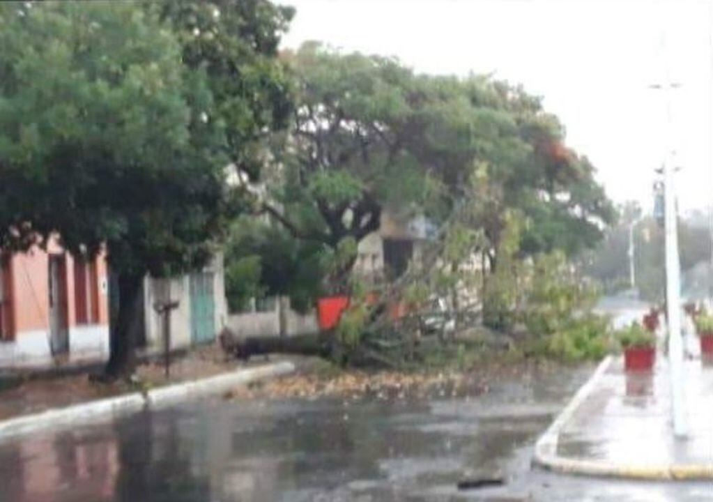 200 familias se vieron afectadas por el fuerte temporal que azotó Santa Elena
