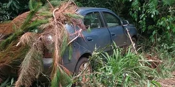 Recuperan un auto robado en una zona de monte en San Vicente