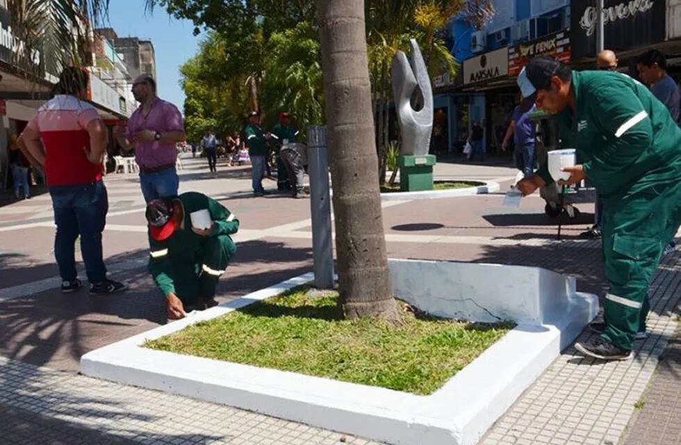 Las tareas comenzaron en la tarde de ayer y continuarán en los próximos días. (Prensa Municipalidad de Resistencia)