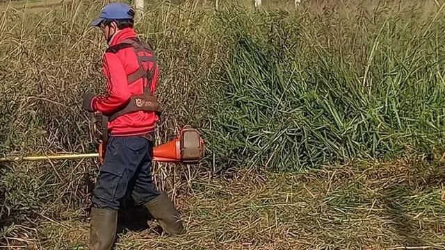 Itaembé Guazú: el IProDHa coordina desmalezamientos y limpieza