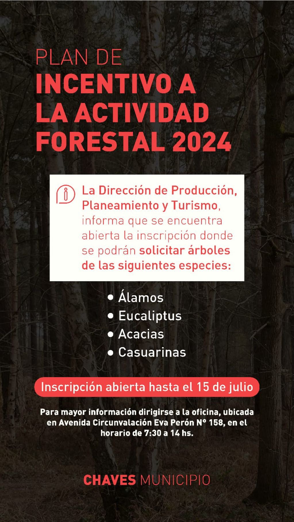Gonzales Chaves: Plan de Incentivo a la Actividad Forestal 2024