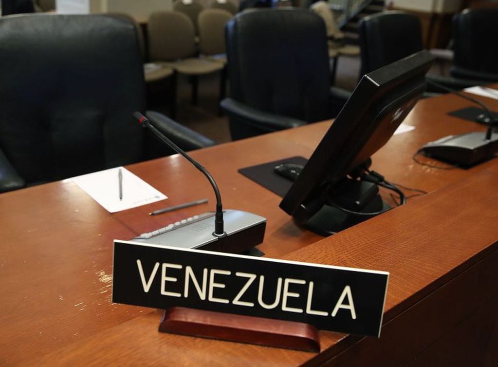 "Ninguno de los actos de hoy tendrá validez para el gobierno de nuestra nación", afirmó la representante de Venezuela ante la OEA (AFP)