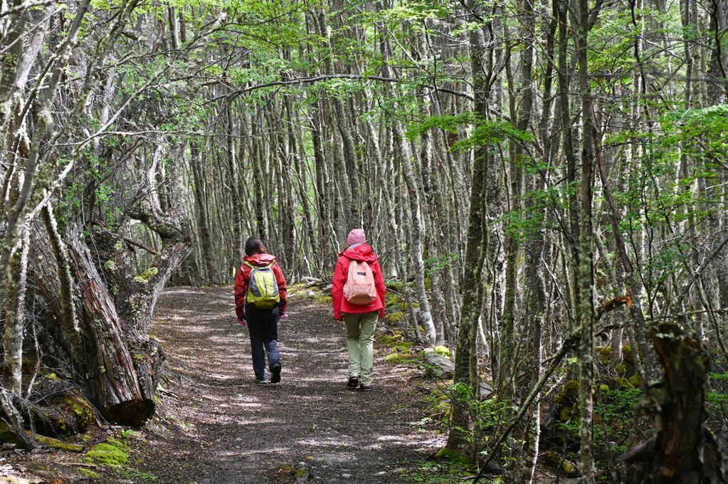 Tierra del Fuego: recomendaciones para disfrutar de senderos fueguinos sin complicaciones
