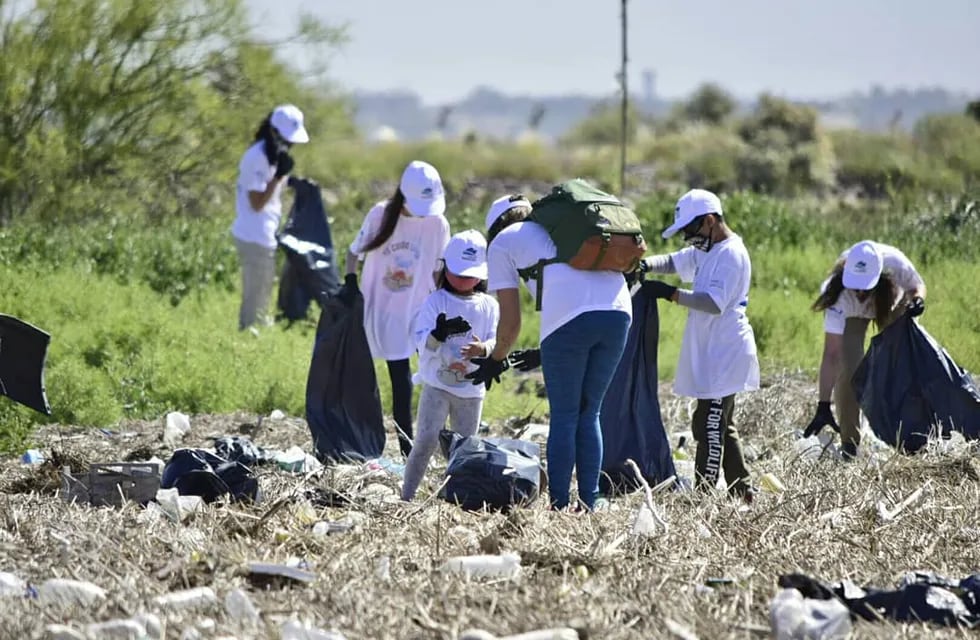 Más de 100 voluntarios realizaron tareas de limpieza en el arroyo Napostá.
