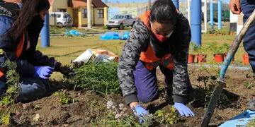 Embellecimiento de los espacios verdes