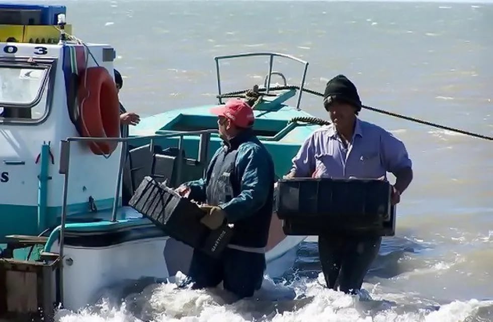Pescadores artesanales de Mar del Plata y la zona fueron autorizados a salir a pescar en cuarentena (Foro: Puntonoticias)