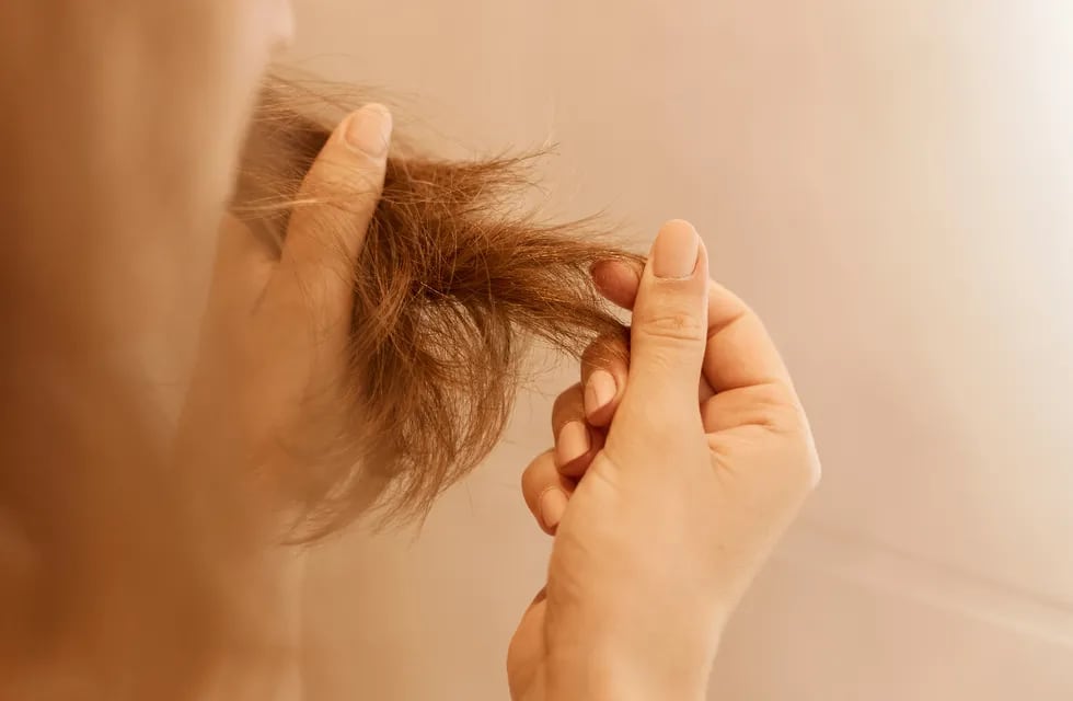 ¡Adiós al pelo seco!: Hidratá tu cabello con esta económica máscara natural que se hace con 3 ingredientes.