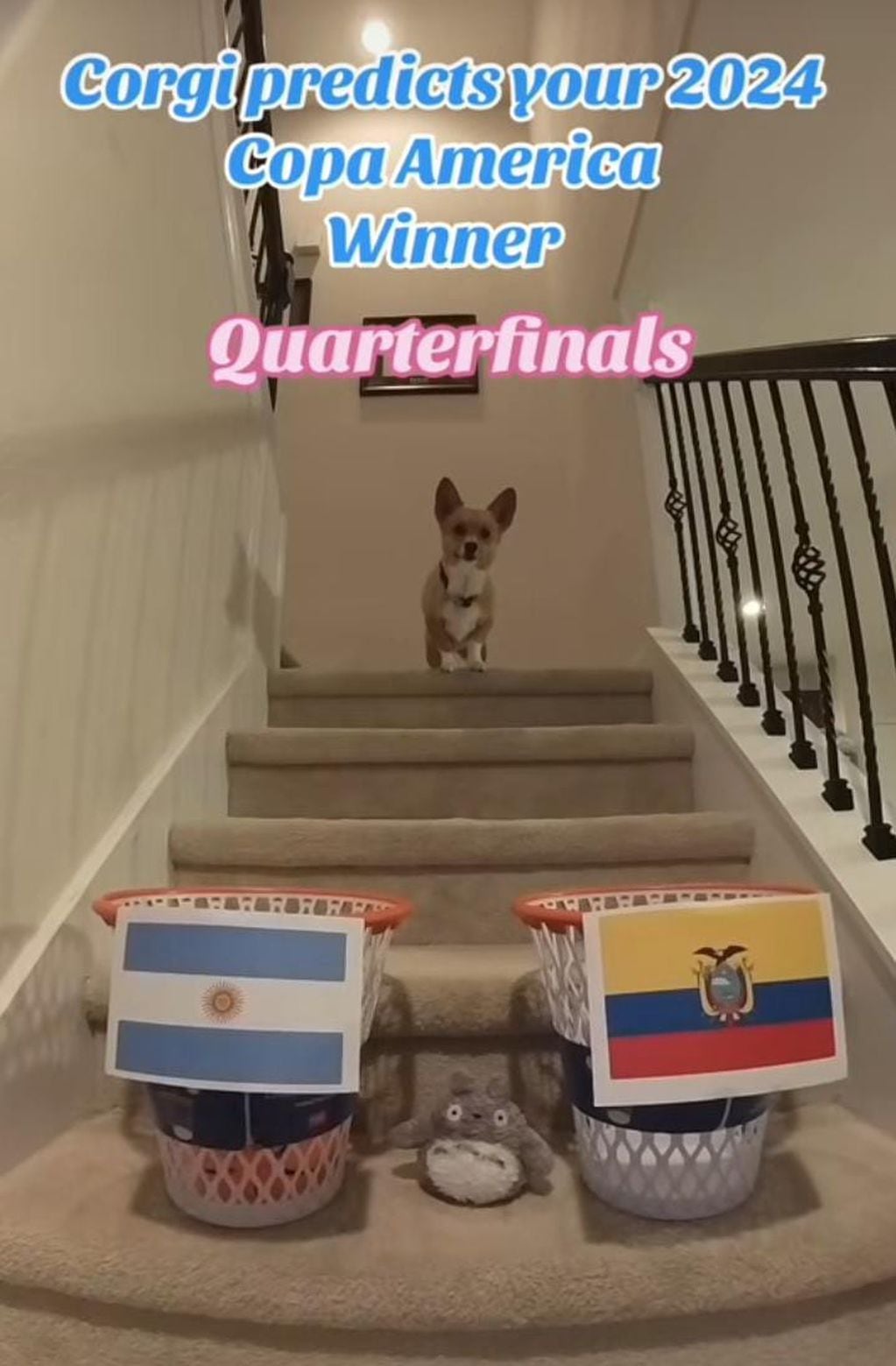 Según el perro, Argentina jugaría con Ecuador.