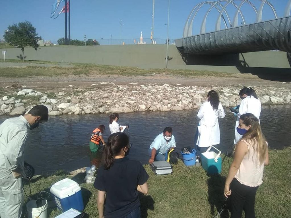 Integrantes de diferentes equipo ambientales, trabajando este miércoles en el afluente de la ciudad de Córdoba.