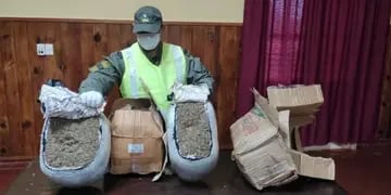 Encuentran marihuana en una encomienda en Concepción de la Sierra