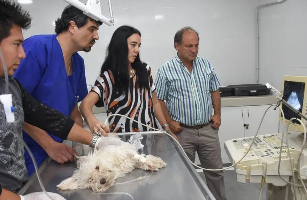 El Hospital de Mascotas de Salta recibió la donación de un ecógrafo