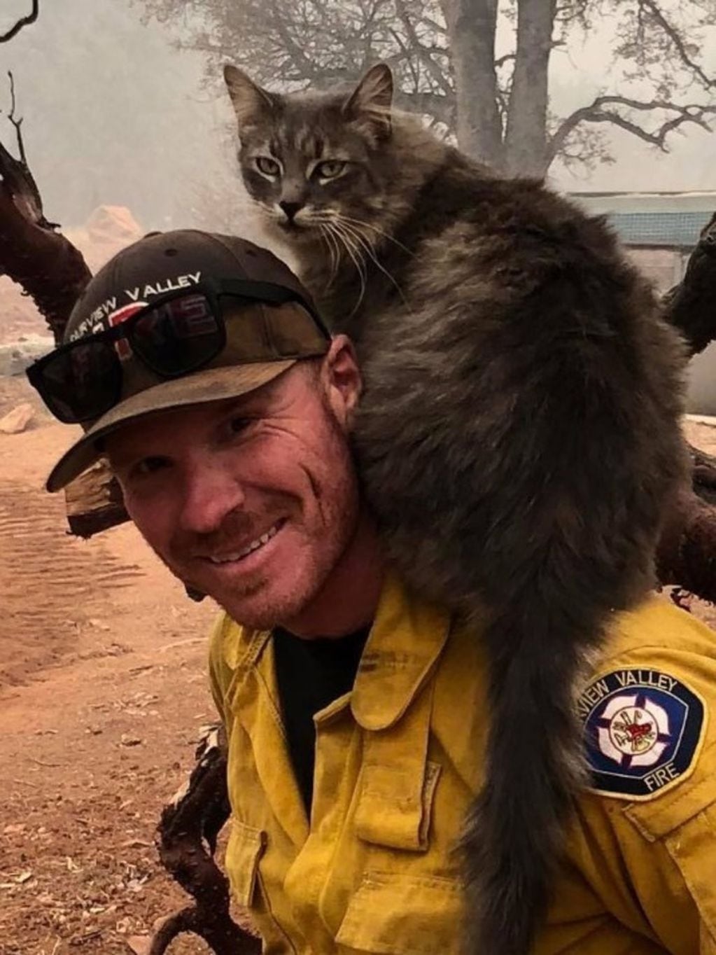 La gata que salvó el bombero en California.