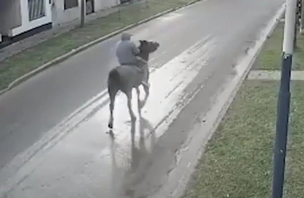 Un hombre a caballo intenta robar a plena luz del día a vecinos de Los Polvorines (Captura Youtube Clarín)