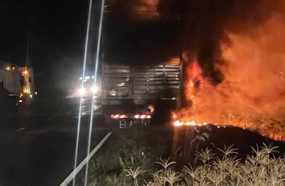 El incendio de un camión jaula en Córdoba dejó el saldo de más de 20 vacas muertas (Policía)