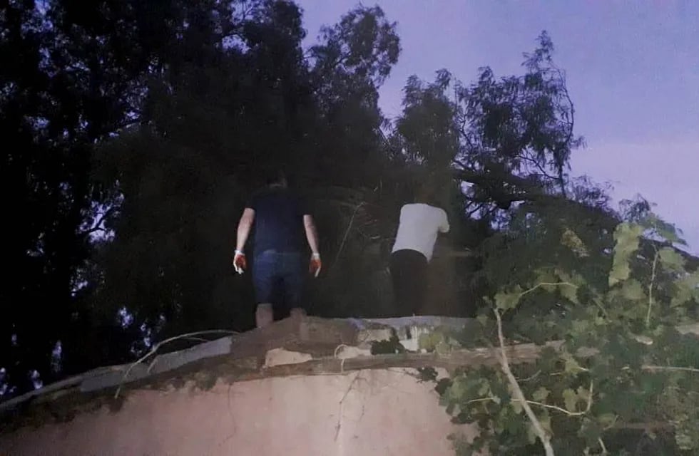 Un árbol gigante cayó sobre el techo de una casa en San Rafael.