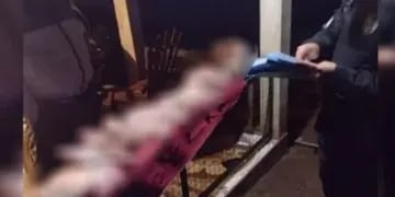 Secuestran carne porcina tras abigeato en San Pedro