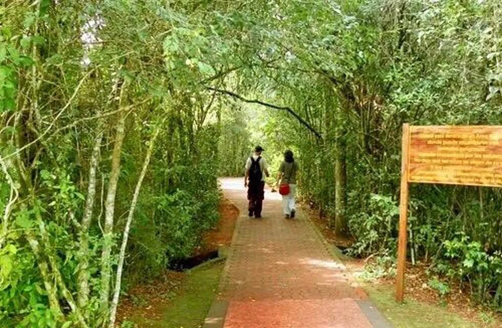 El sendero ya se encuentra disponible para los visitantes del Parque Nacional Iguazú.