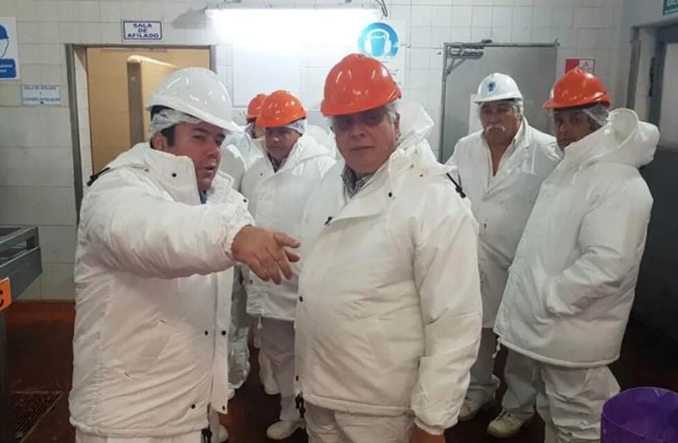 Exportación de carne bovina (Gobierno de La Pampa)