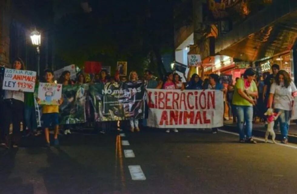 Realizarán una marcha para manifestarse contra el maltrato animal (Foto: Movimiento Fucsia)