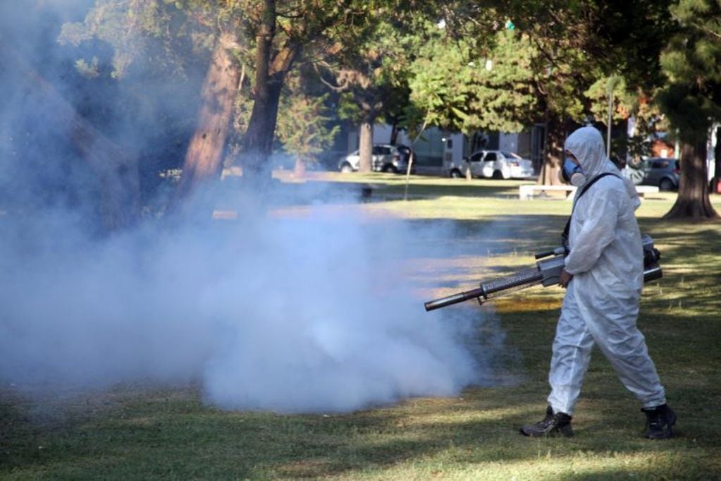 Intensifican operativos contra el dengue en barrios platenses (Municipalidad de La Plata)