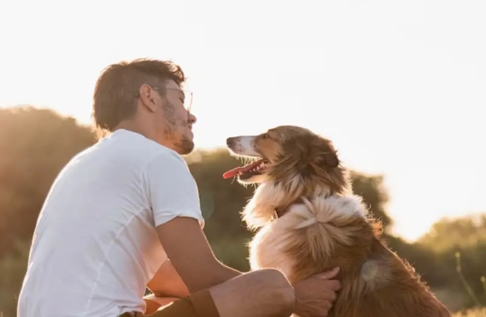 La increíble razón por la que deberías acariciar más a tu perro, según la ciencia