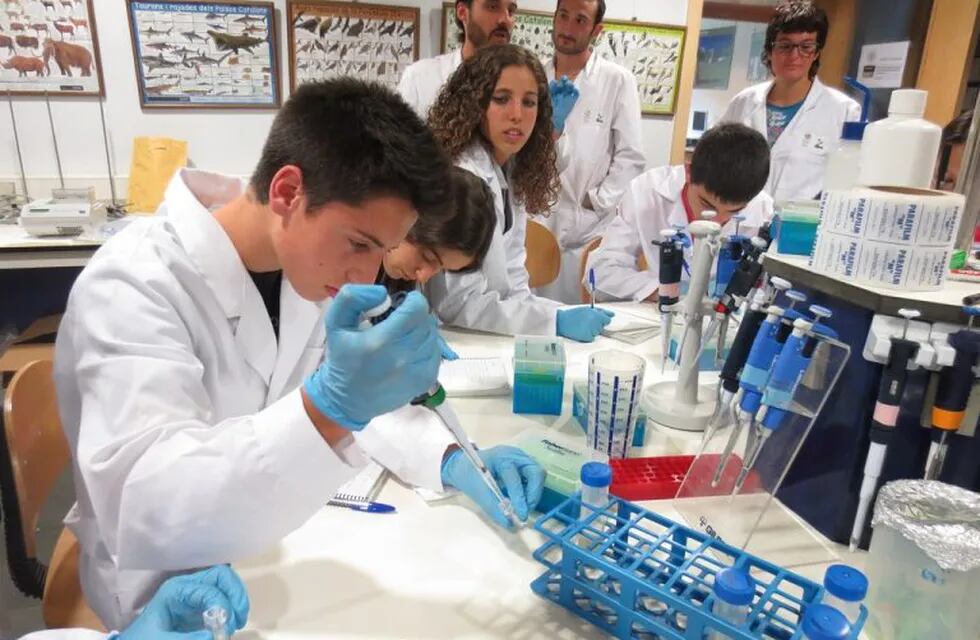 Estudiantes haciendo experimentos. Foto: web.